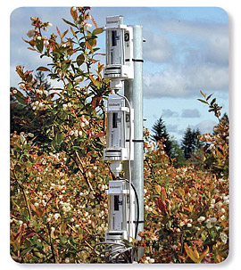 ˪����(b��o)�O(ji��n)ҕ